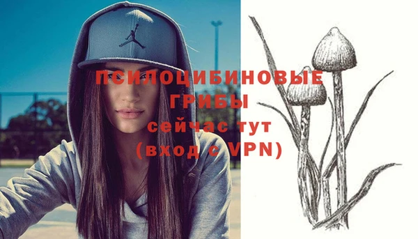 spice Балахна