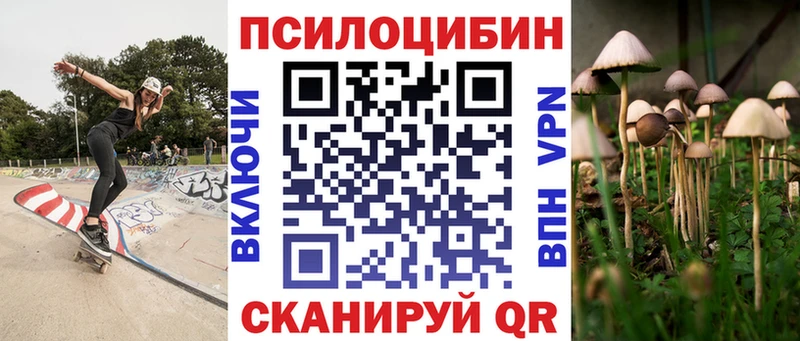 даркнет наркотические препараты  наркота  Кущёвская  Псилоцибиновые грибы мухоморы 